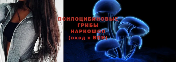 тгк Пересвет