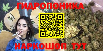 соль ск Ипатово