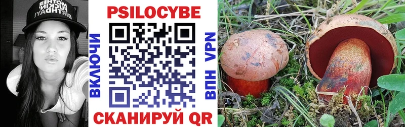Псилоцибиновые грибы Psilocybe сколько стоит blacksprut зеркало Уварово