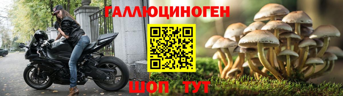 закладка  Псилоцибиновые грибы Magic Shrooms  Галлюциногенные грибы прущие грибы  Вход с VPN  Уварово 